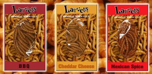 larvets-worm-snack.jpg