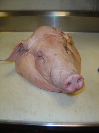 pigs_head.jpg