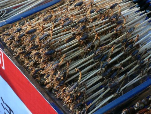 Scorpions on a stick saslik