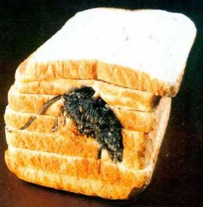 Mouse toast
