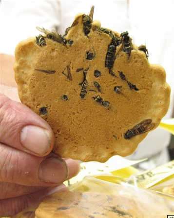 Wasp crackers