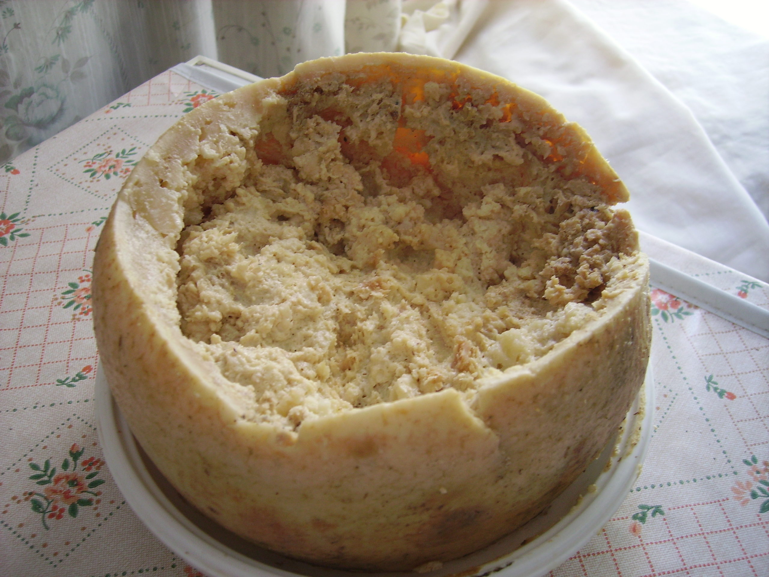 Casu Marzu maggot cheese