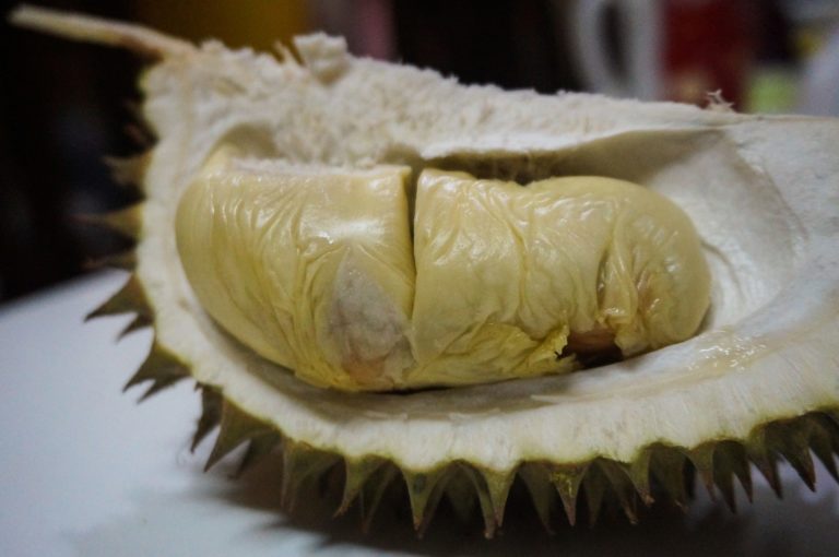 An opened durian husk with spiky green-brown skin, showing two pale yellow, custard-like pods of flesh