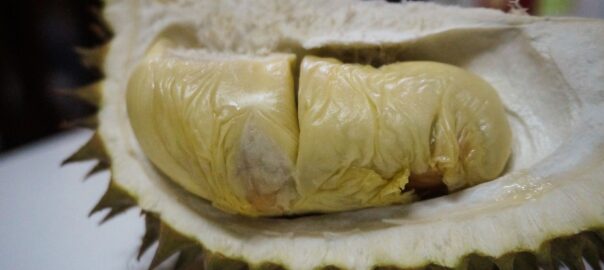 durian smelly fruit
